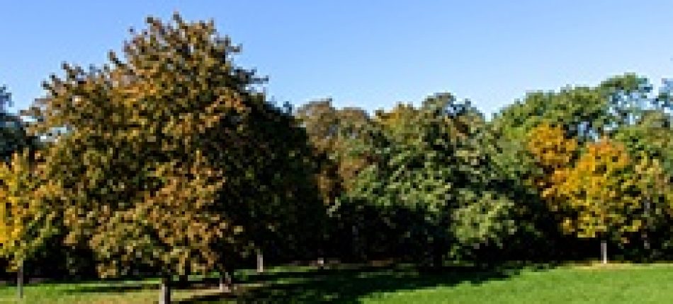 TERRAINS EN EXCLUSIVITÉ 
