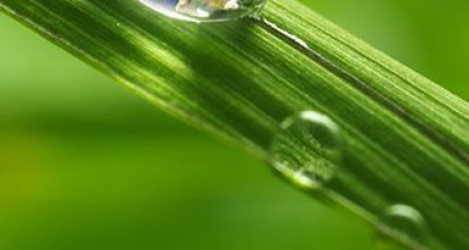 Ma Maison économe en eau